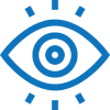 vision